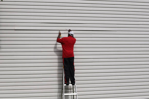 Best Custom Trim and Detailing for Siding  in Superior, NE