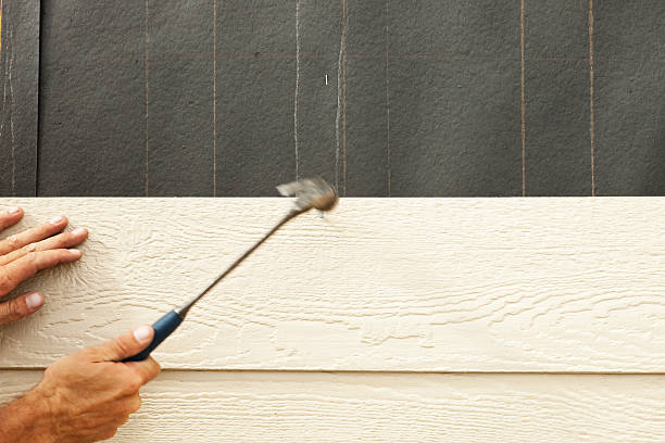 Best Vinyl Siding Installation  in Superior, NE